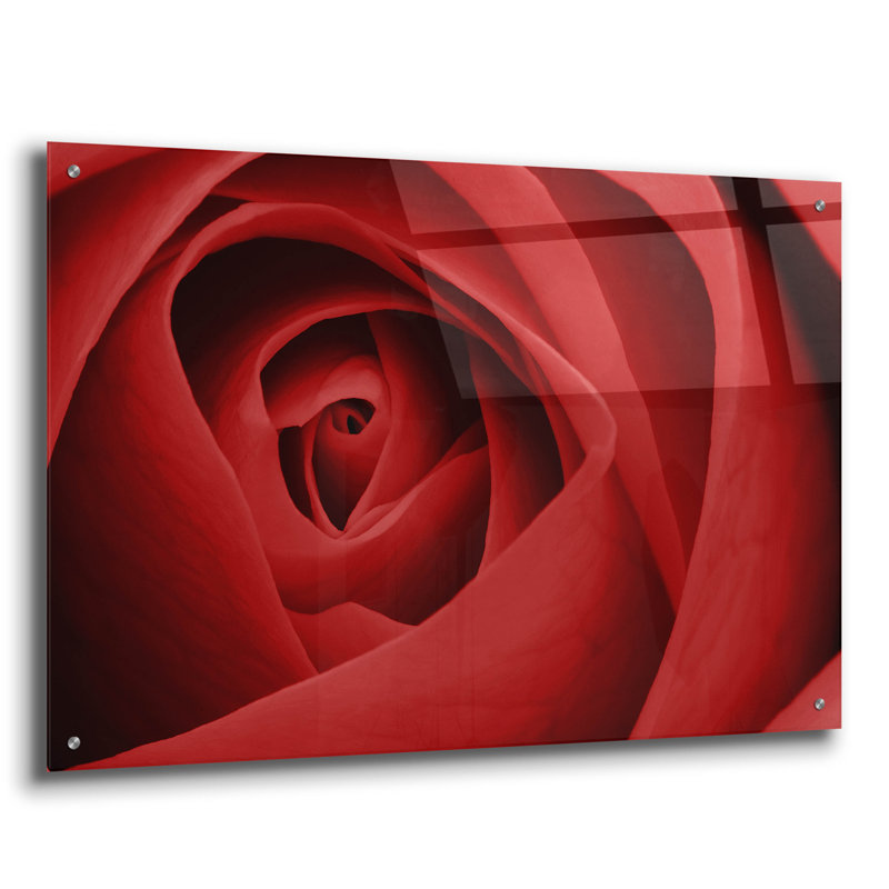 «Red Rose» par Tom Quartermaine, H 24 po x l 36 po x P 0,2 po