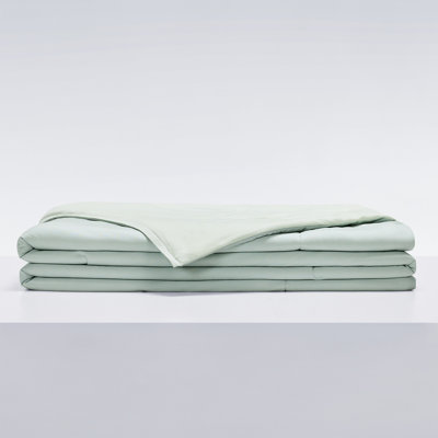 Quick Drying Tussah Silk Quilt 79"x 91"