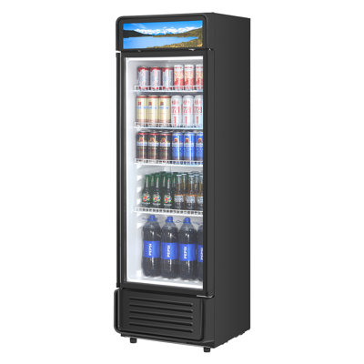 Réfrigérateur commercial à boissons en verre 9,7 CU.FT