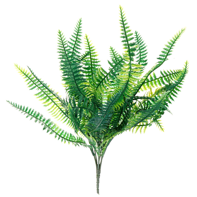 Boston Fern Leaf Arrangement