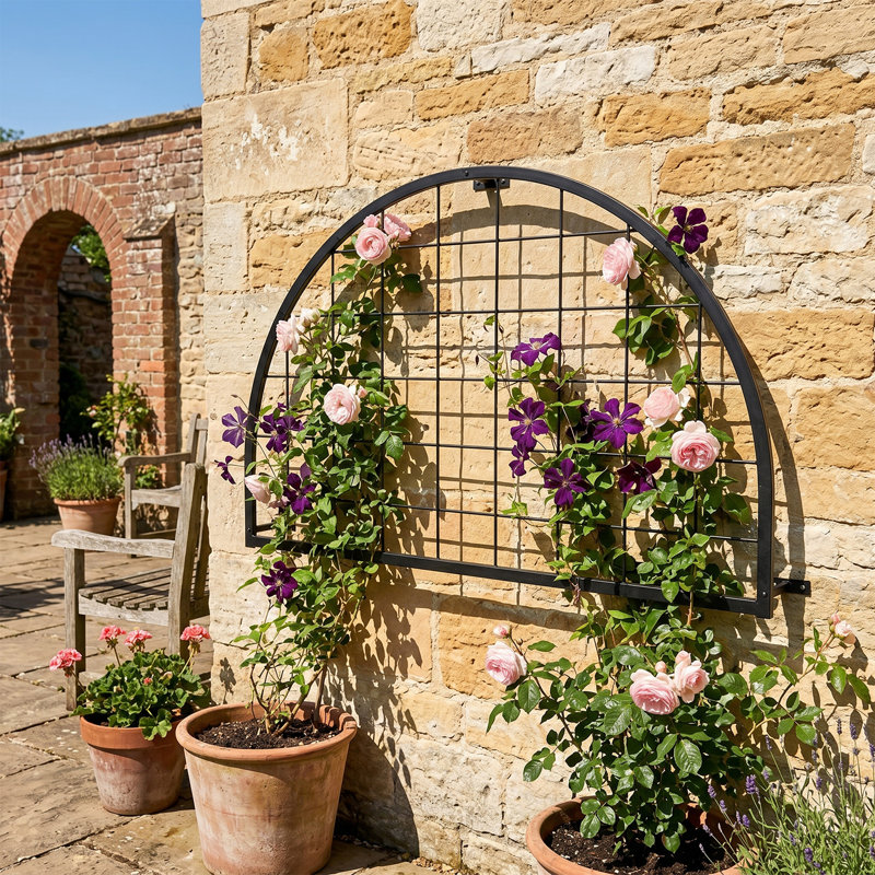 Ensemble de 2 treillis de jardin muraux - plante grimpante en métal noir avec design rétro, ensemble de 2