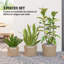 Pot Planter