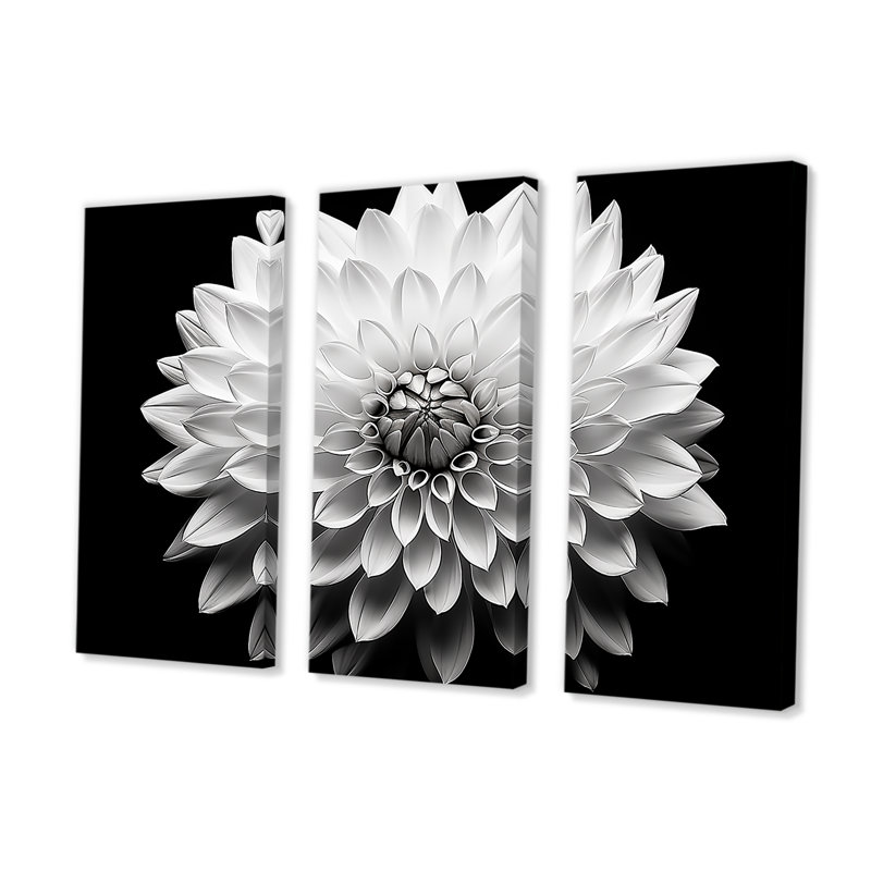 Dahlia en noir et blanc - ensemble de décorations murales Dahlia, H 32 po x l 48 po x P 1 po