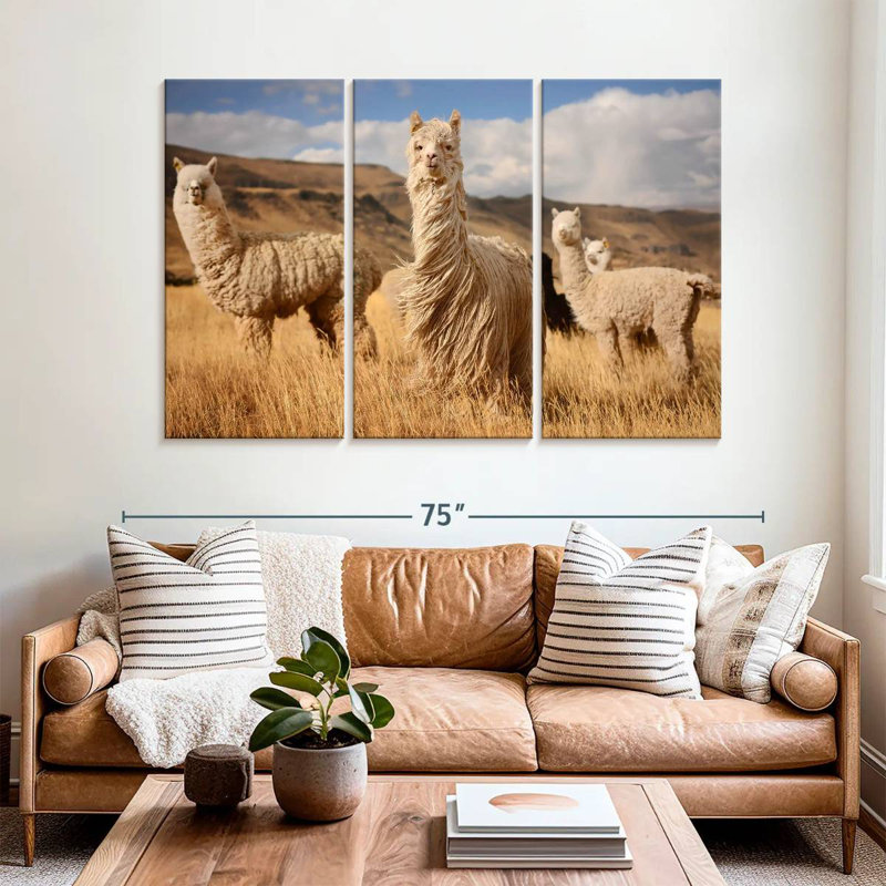 Andes Alpacas
