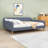 Queen Upholstered Daybed with Slats-19905614