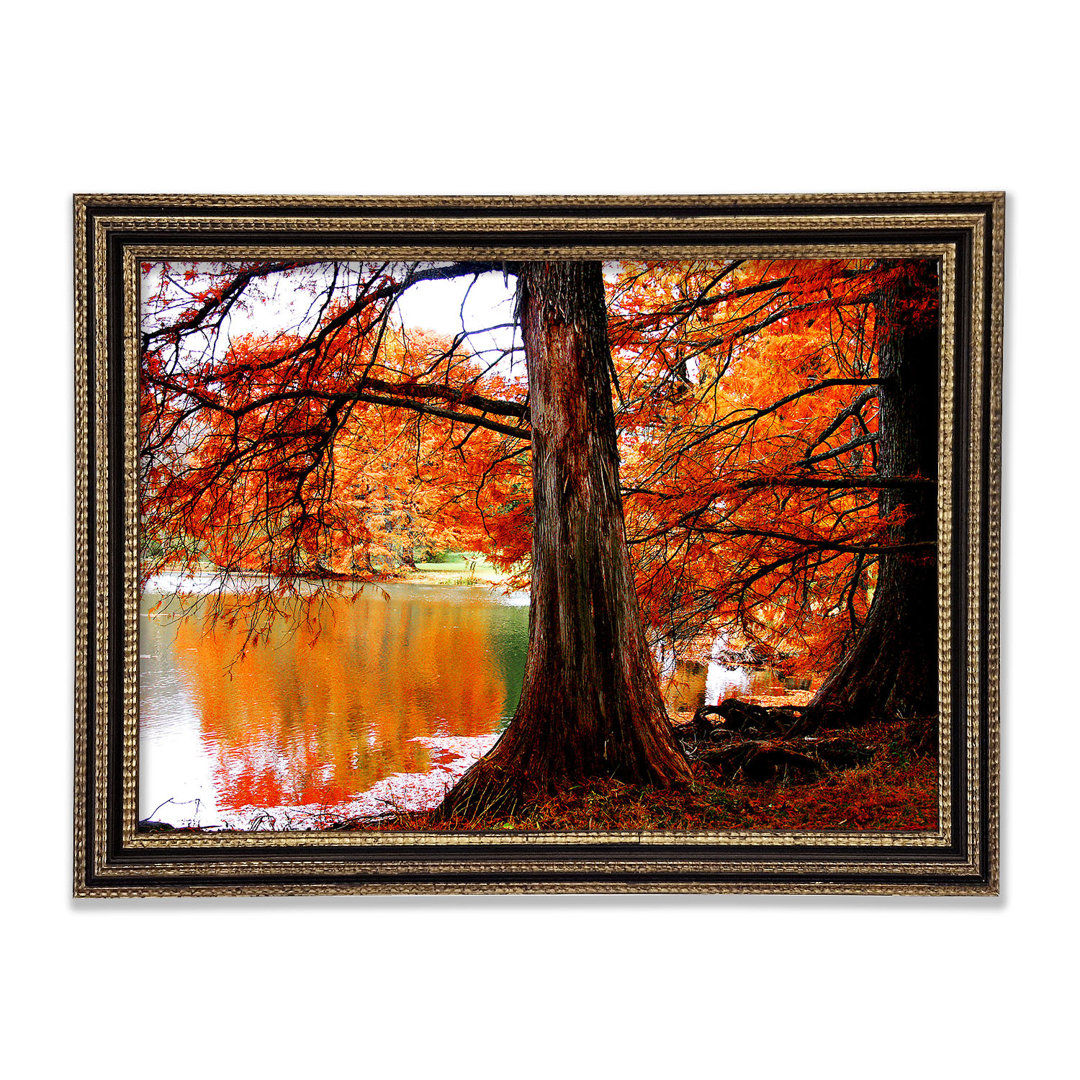 Herbst Orange River Reflections Gerahmter Druck