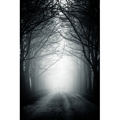 Auvent d'arbre Country Road dans le brouillard, personne par Moreiso