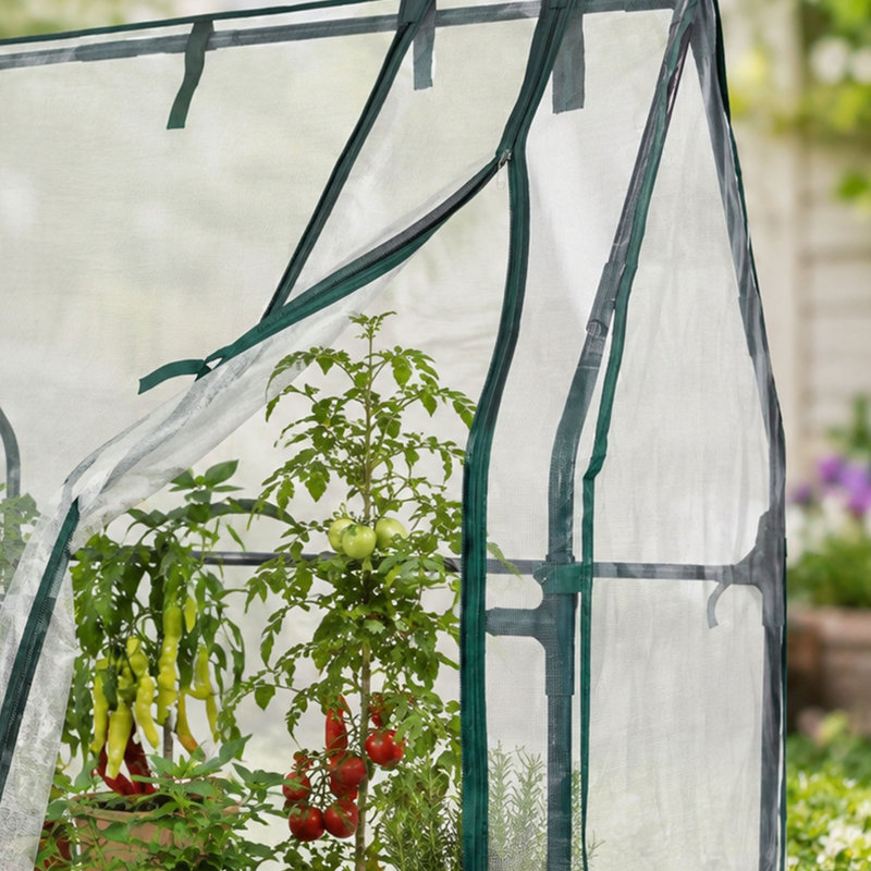 Serre avec couverture en filet, abri portatif pour plantes d'extérieur