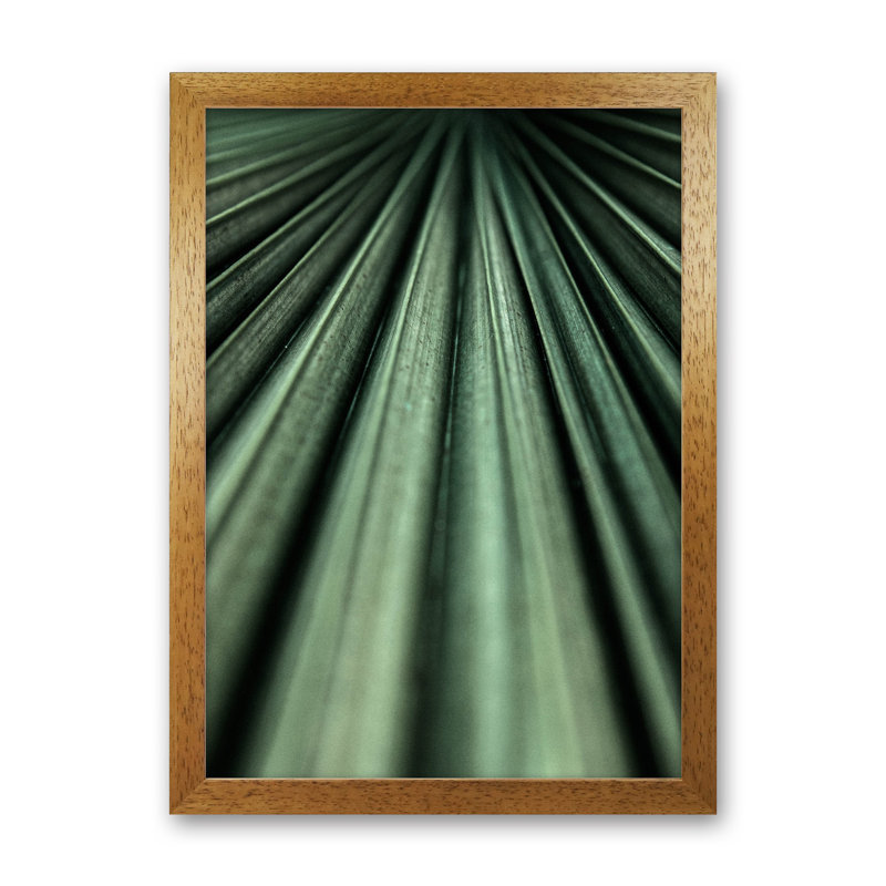 Green Palm Leaf 1 Piece Wall Art, 34cm H x 25cm W x 3cm D, Oak Framed