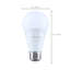 Bulb-1403391544