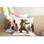 Ensemble de 2 coussins décoratifs Ambesonne-99021710-99021711