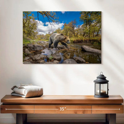 Brampt Grizzly Bear Creek