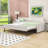 Twin Upholstery Daybed with Twin Trundle and USB Charging Port-948423537