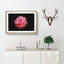 Lone Pink Carnation - Picture Frame Graphic Art Print-56859909-56859910