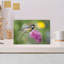 Great Tit On Hyacinth Delicate Vibrant Bird Hyacinth Flower Nature Wall Art Print 1 Piece Wrapped Canvas Wall Art-568814807