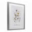 «Pressed Flower Relax & Renew», reproduction sous verre encadrée, design par lettres et doublure-1558671447-1558671467