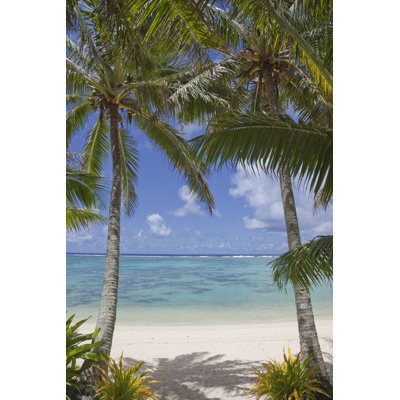 Pair Of Palm Trees by Lilly3 - Wrapped Canvas Print