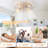 Otylia 19.7'' Farmhouse Reversible Caged Ceiling Fan with Light Kit and Remote-906797990