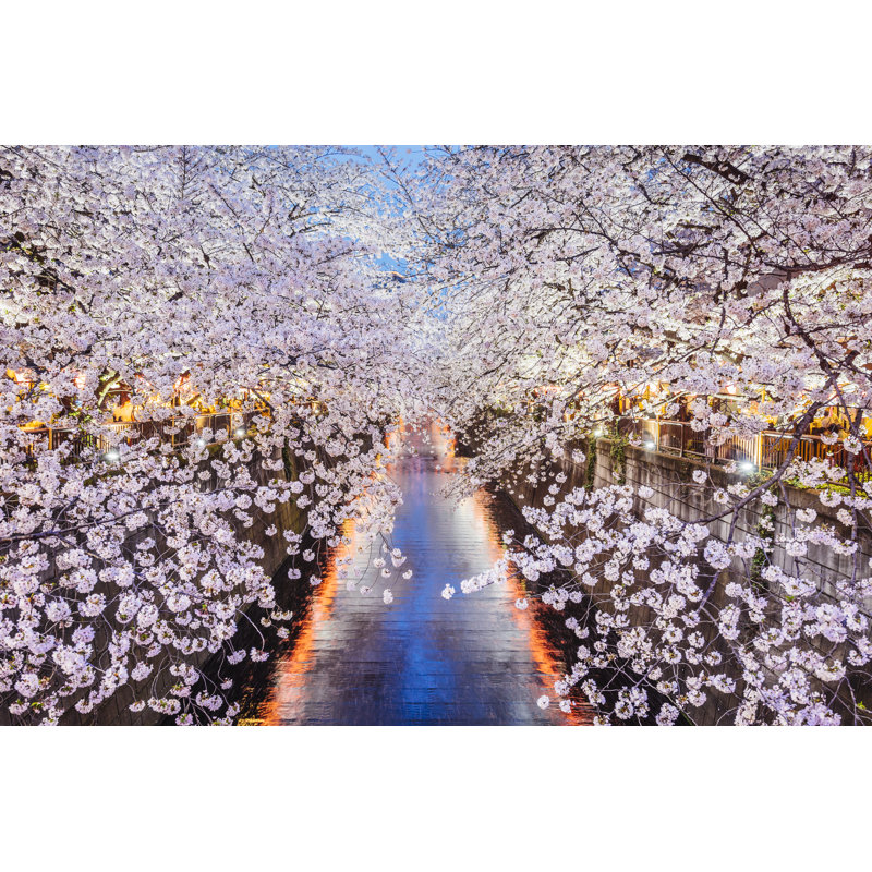 Cherry Blossoms - Print, 81cm H x 122cm W x 3.8cm D