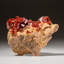 Genuine Vanadinite Crystal Cluster On Matrix From Morocco (202.9 Grams)