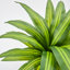 Maïs artificiel 4,3 pi Dracaena Fragrans en pot décoratif en céramique blanche-571941257-571941259