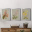 «Botanical Array I», ensemble de 3 impressions sur toile encadrées-1436849650-1436849550