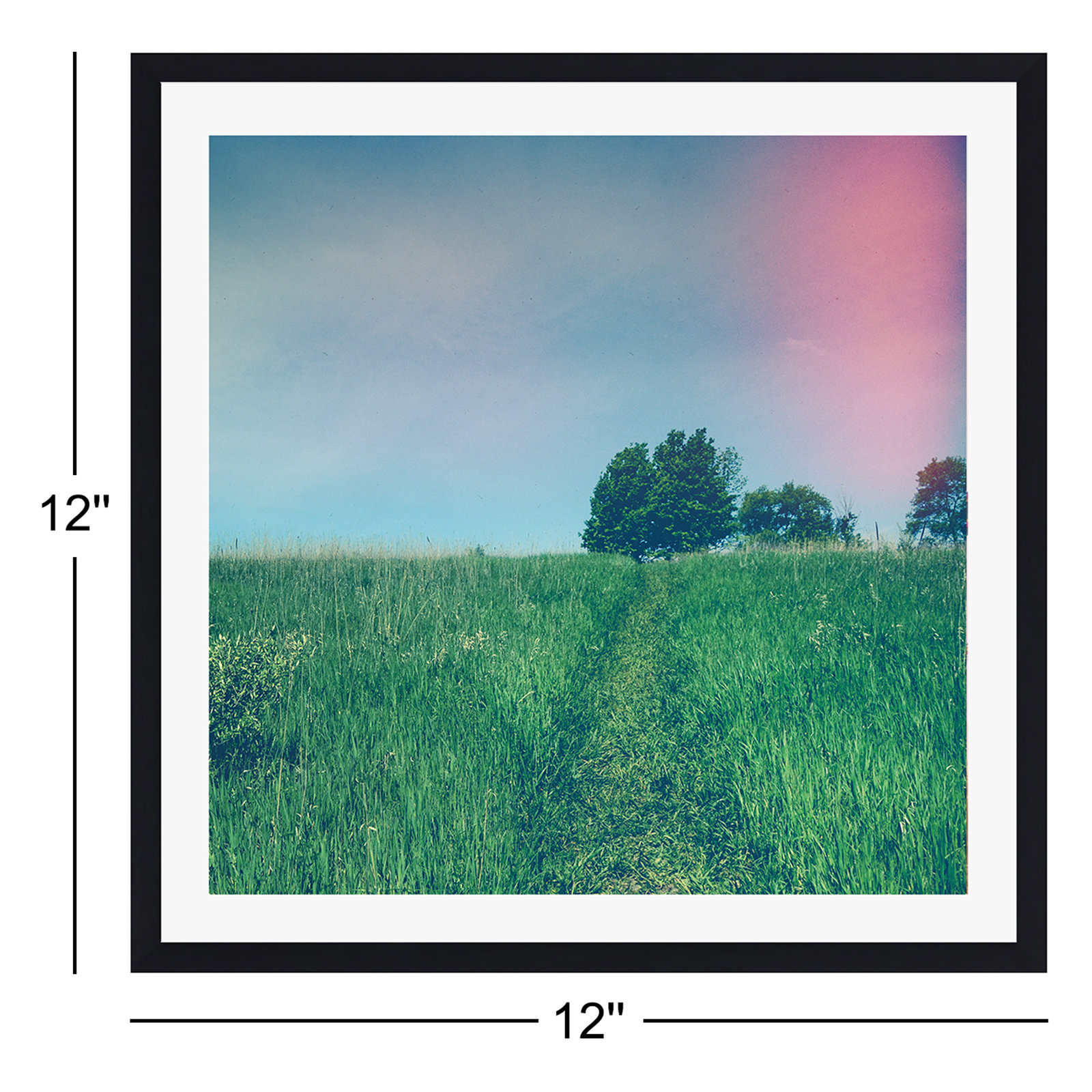 Summer Solstice by Olivia St Claire, 12" W x 12" H, Black Single Picture Framed, Yes