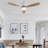 Jameison 52 Inch Modern Ceiling Fan with Dimmable Light 6-speed Adjustable Noiseless