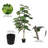 Artificial Potted Fiddle Tree