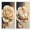 «Beige Blooming Rose», 2 pièces sur toile-406010840-406010847