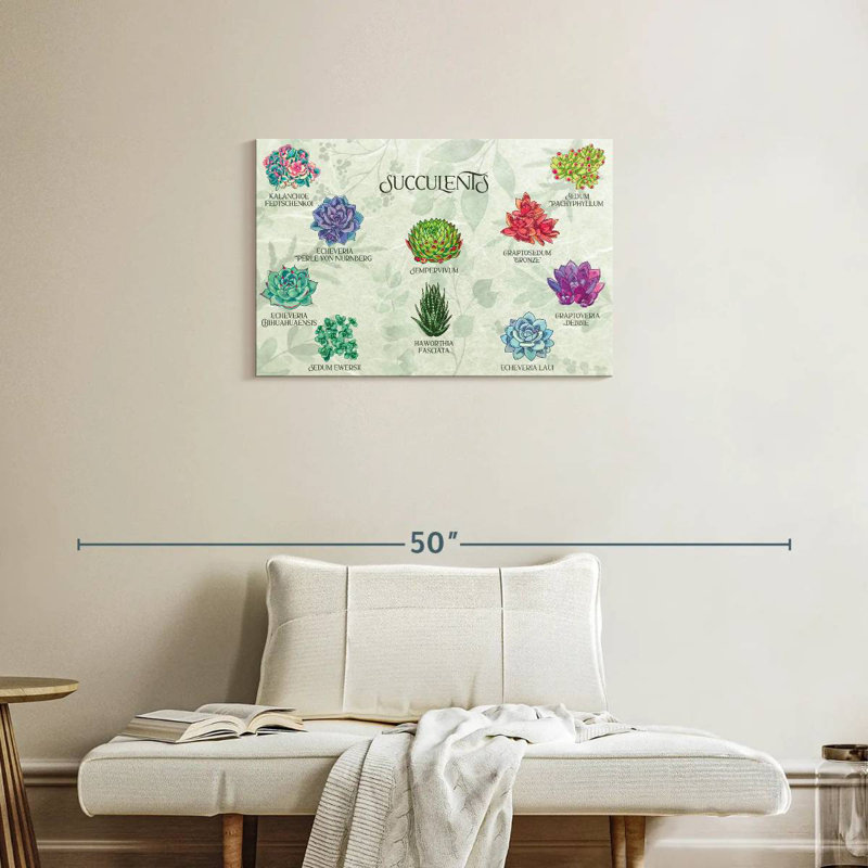 Harnek Succulents Chart, 20" H x 30" W