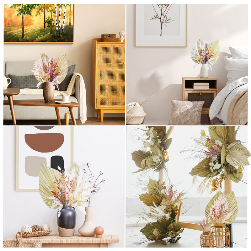 17'' Pampas Grass Plant