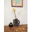 Red Barrel Studio Brown Glazed Ceramic Jug Vase, Antique Design, Perfect For Fresh Or Dried Flowers, Statement Piece, 4.5" Diameter & 5" Tall, Pack Of 12