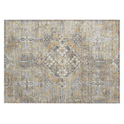 Machine Washable Indoor/Outdoor Huseby ACN2197 Global Rug