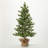 Shultz Faux Pine Tree in Wicker/Rattan Pot-1569152582