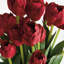 Barreto PEONY TULIP BUNDLE encastré 23,5 po-129903248