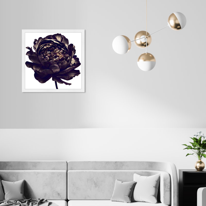 Pivoine noire - cadre photo, Cadre blanc, H 22 po x l 22 po