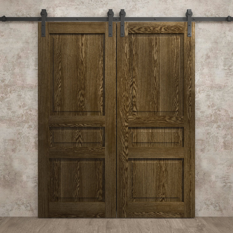 Modern Double Barn Door | Ego 5012 | Track Set | Solid Panel Interior Doors, Marble Oak, 48'' x 84''