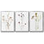Pressé botanique I 3 pièces-97711652-97711654
