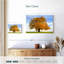 Harnek Linden-107855067