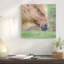 « islandais cheval i », reproduction de photo sur toile tendue-72604295-72604300-72604301