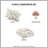 Hypoallergenic Polyester Bedding Sets, Mushroom Floral Style For Home