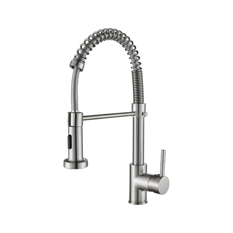 Brayden Studio Pull Down Kitchen Faucet