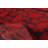 Odoarda One-of-a-Kind 5'10" X 7'8" New Age Wool Area Rug in Red