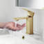 Mirage Single-handle Bathroom Faucet-46545182-47590571