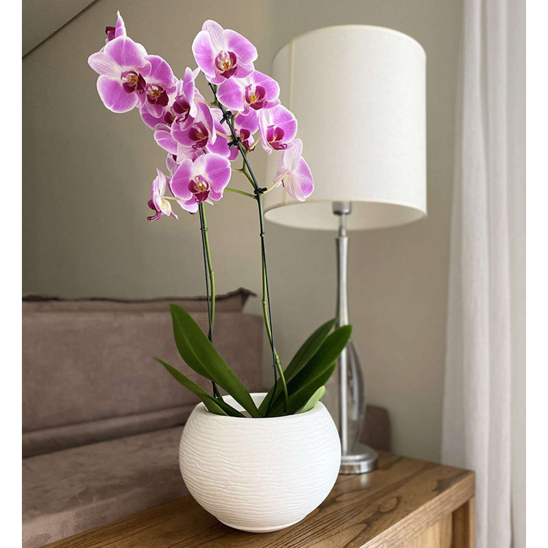 Florence Pot Planter, White, 9.45" H x 13.39" W x 13.39" D
