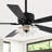52" 6-Speed Dimmable LED Ceiling Fan with Light and Remote Control, 3 Color Lights, Reversible DC Motor, Double-Sided Wood Blades, 4"/10" Downrods-1019938423