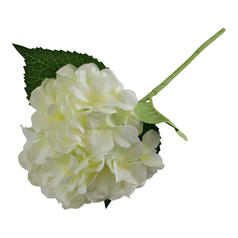 Hydrangea Arrangement, Cream