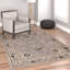 Delatorre Traditional Oriental Persian Grey Rug-1015948689