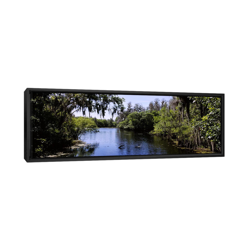 «Hillsborough River, Tampa, Florida», reproduction de photo sur toile, H 16 po x l 48 po x P 1,5 po, Toile avec cadre noir